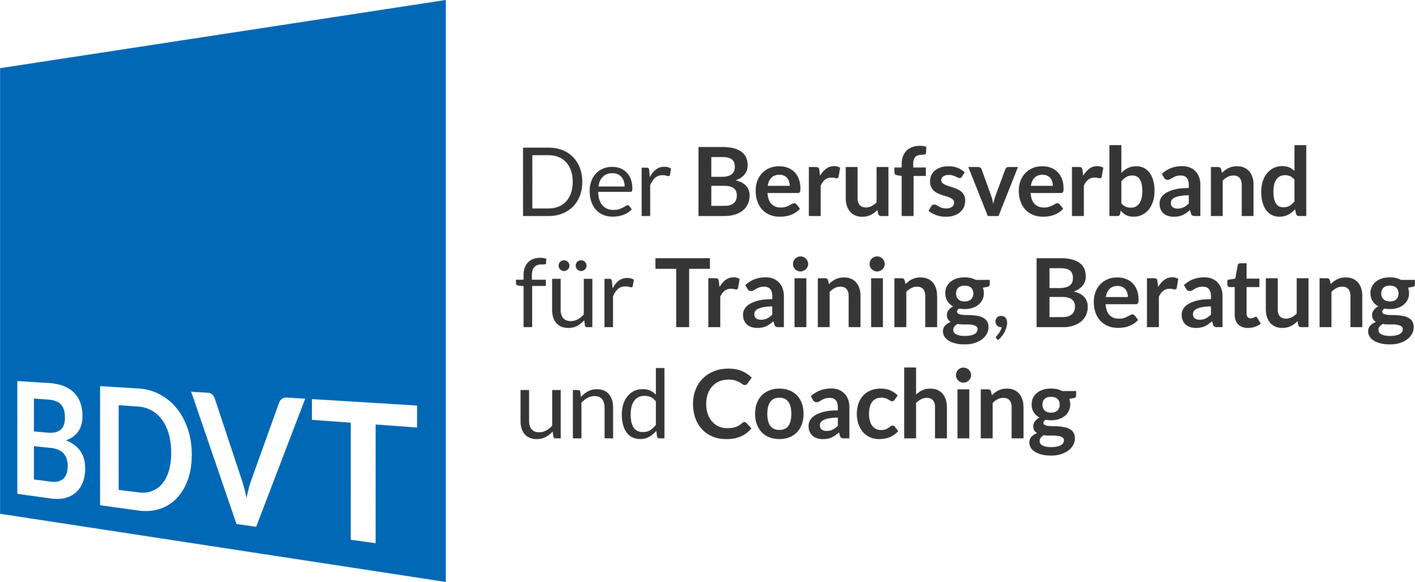 Logo BDVT
